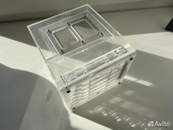 Муравьиная ферма