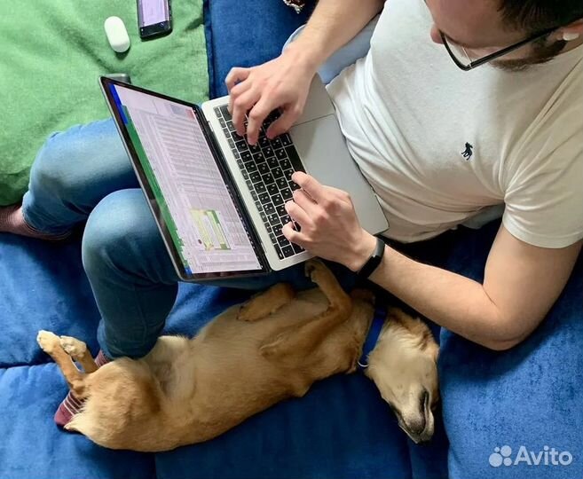 Удаленная работа от 6 ч.Нет планов продаж.Оператор