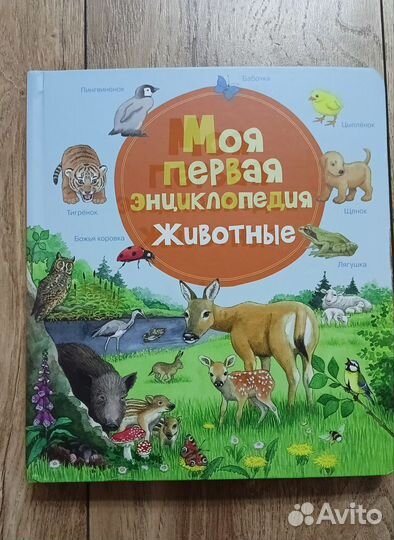 Моя первая энциклопедия