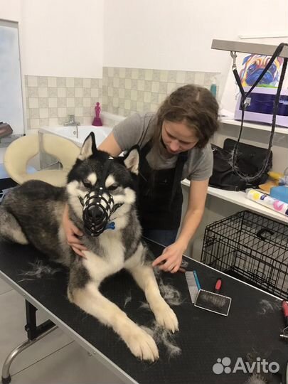 Грумер / Груминг