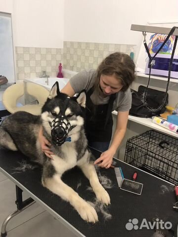 Грумер / Груминг