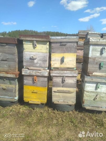 Продам ульи для пчел