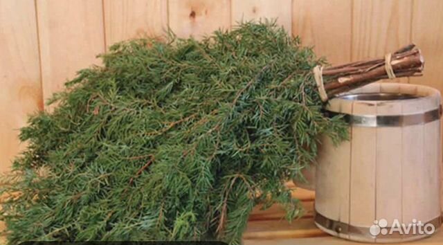 Веник можжевельник- лечебный
