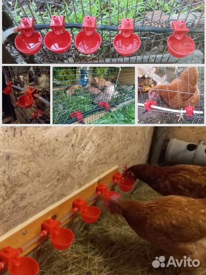 Чашечные поилки для птиц