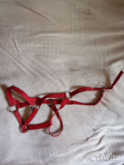 Амуниция для лошади: недоуздки, трензели, попона