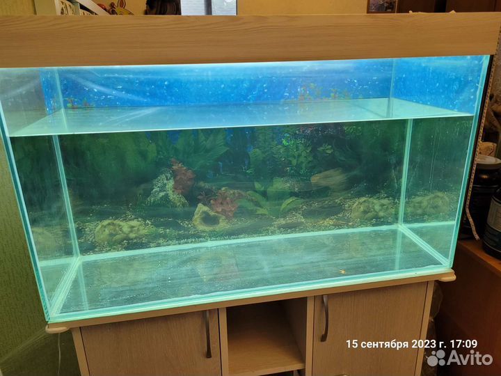 Аквариум 150л