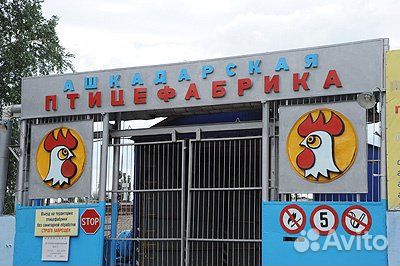 Охрана сутки / вахта /Башкирия