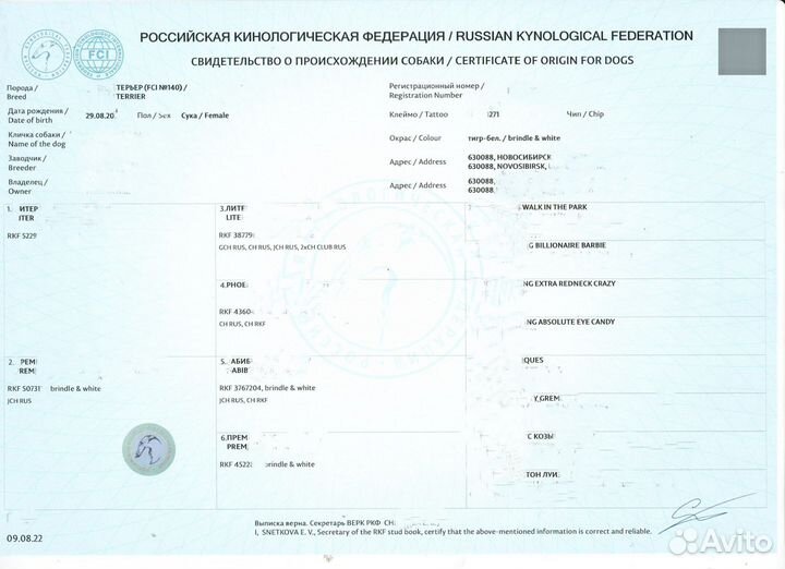 Клуб собак. Оформление документов РКФ