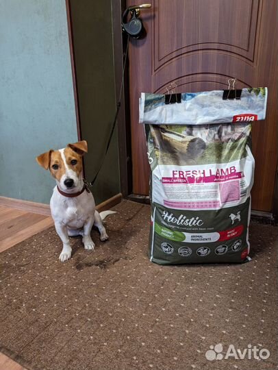 Корм для собак blitz