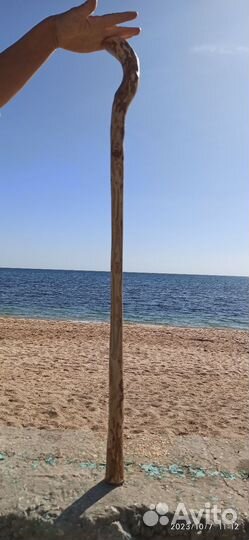 Палка-трость