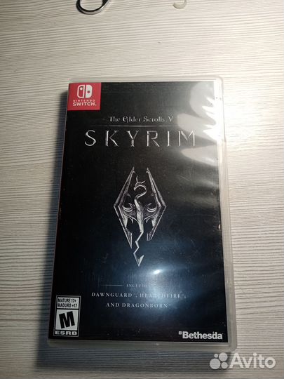 Nintendo switch skyrim