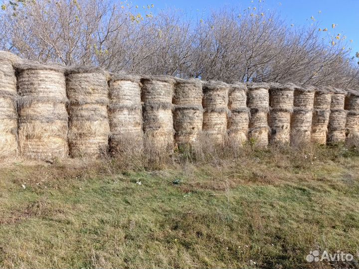 Сено в тюках