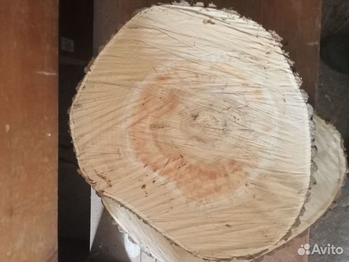 Торцевые спилы деревьев, дрова