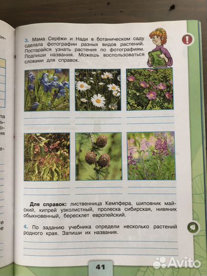 Рабочая тетрадь по окружающему миру 3 класс