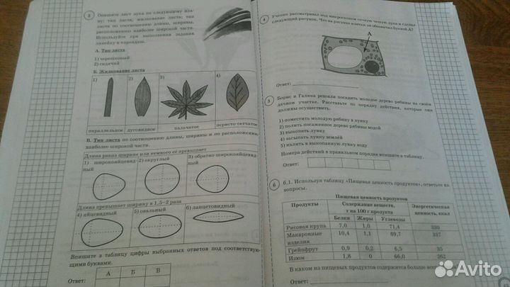 Впр биология 5 класс