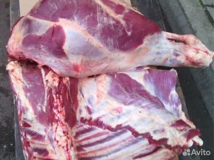 Мясо говядина домашняя