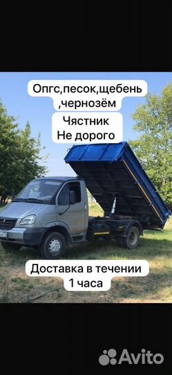Опгс с доставкой чясник быстро