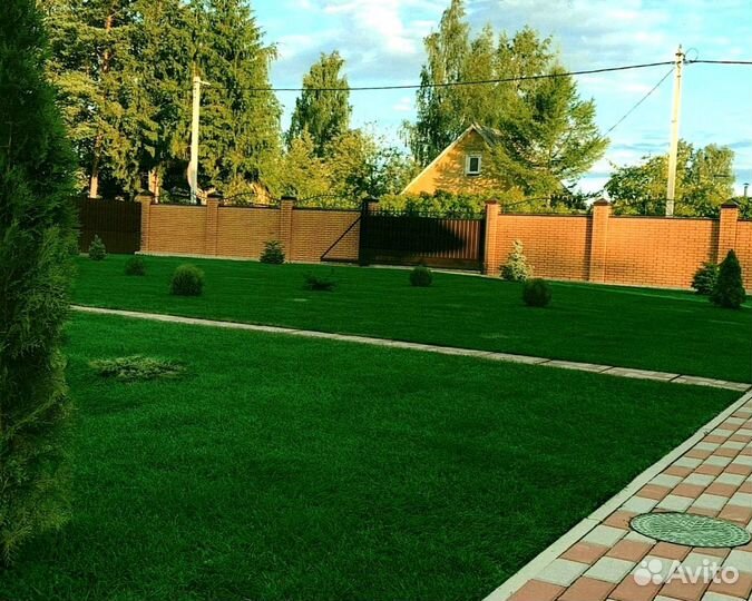 Рулонный газон от производителя