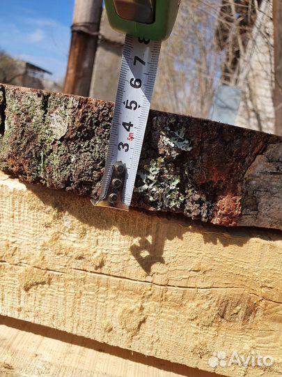 Спилы дерева