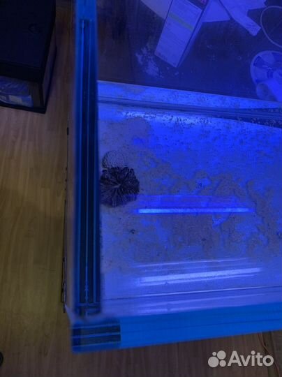 Аквариум 225 литров optiwhite