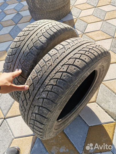 Gislaved Nord Frost 5 195/65 R15