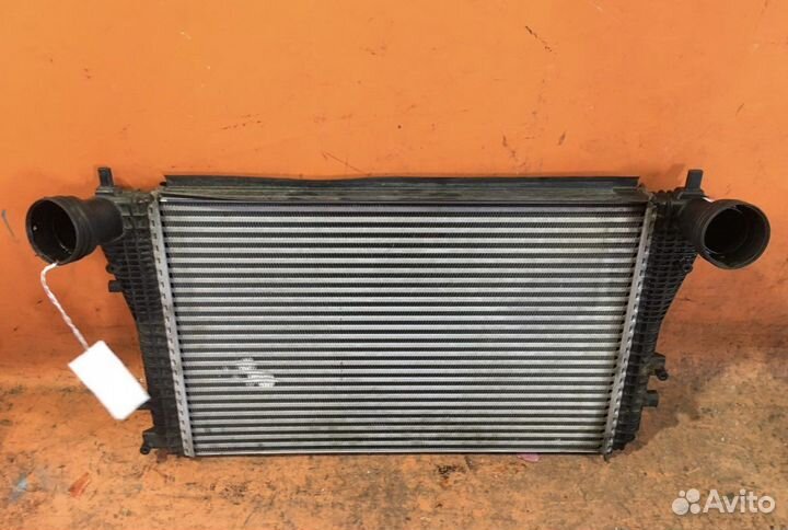 Интеркуллер Volkswagen caddy 2008 год