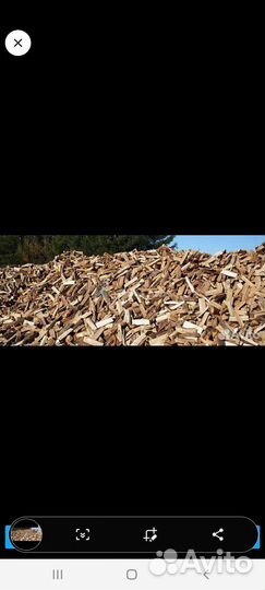 Дрова берёзовые колотые,сосновые,перегной