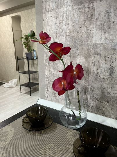 Квартира-студия, 32 м², 1/6 эт.