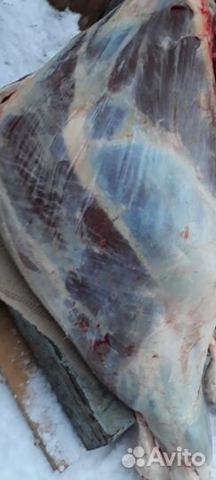 Мясо говядина