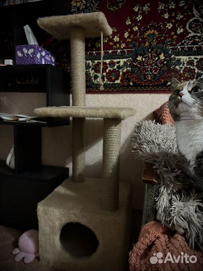 Когтеточка для кошек