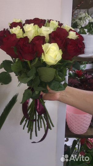 Розы кения 25 шт