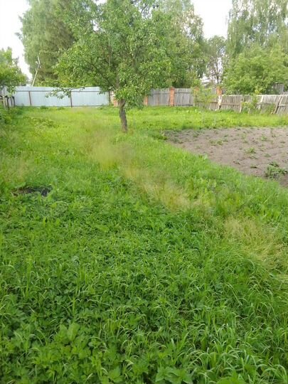 Участок 12 сот. (ИЖС)