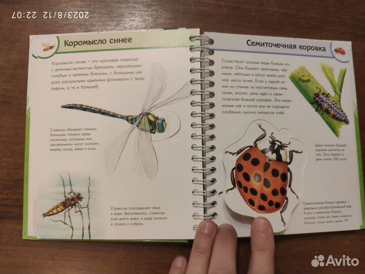 Детские энциклопедии