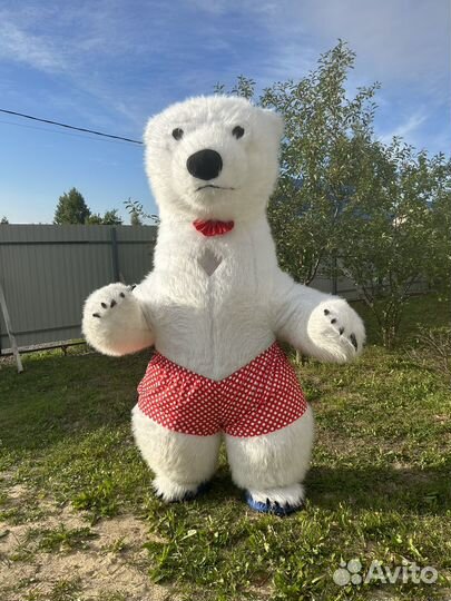 Белый мишка поздравление, бурый мишка, заяц