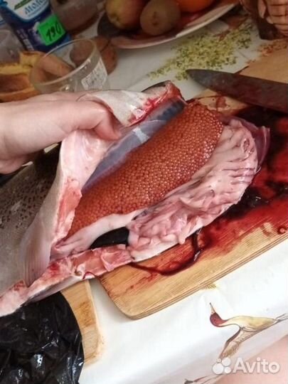 Форель икряная с вылова, бесплатно Доставка