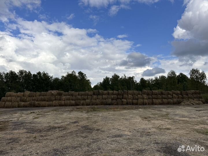 Сено в тюках разнотравие