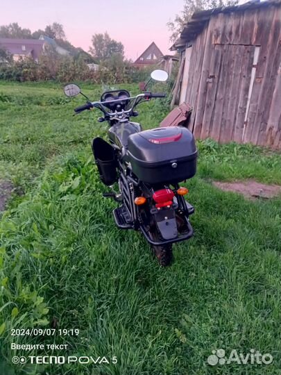 Альфа лесник