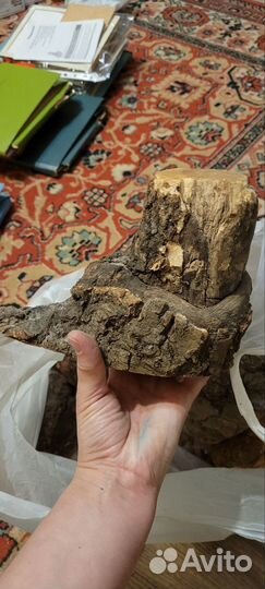 Кап берёзовый