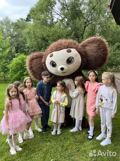 Белый Мишка Мишка Тедди чебурашка поздравление