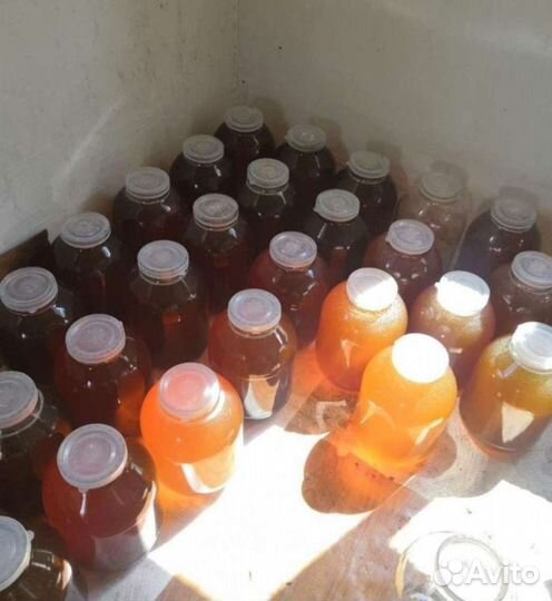 Мед 2023 г. (с доставкой по Тюмени)