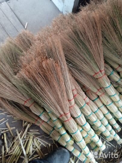 Веник сорго