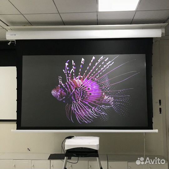 Экран с проектором на штативе