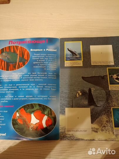 Журнал для наклеек Мир моря