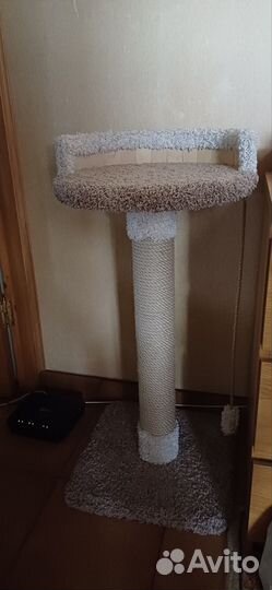 Когтеточка