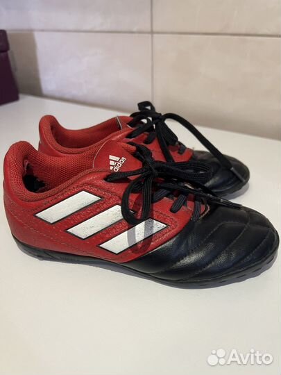 Сороконожки