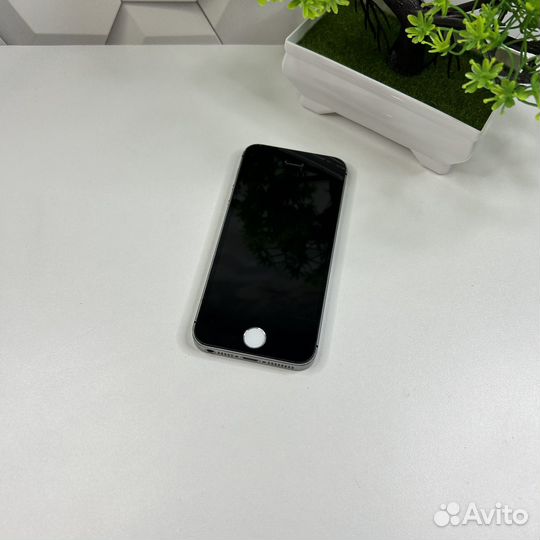 iPhone SE, 16 ГБ