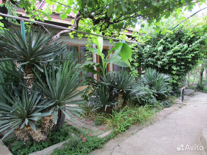 Отдых в Крыму. Морское.Частный сектор