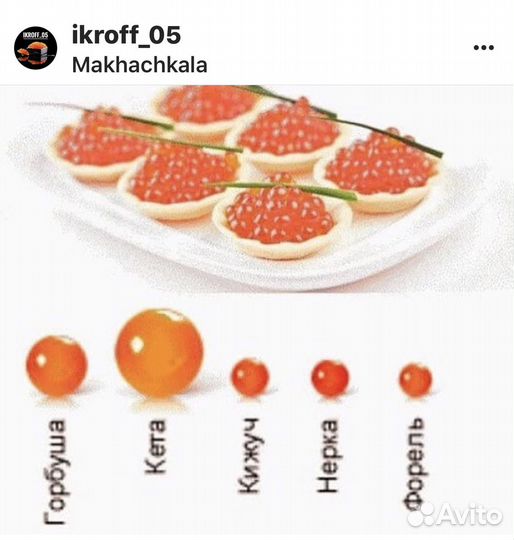 Икра красная, икра щуки, рыба сёмга