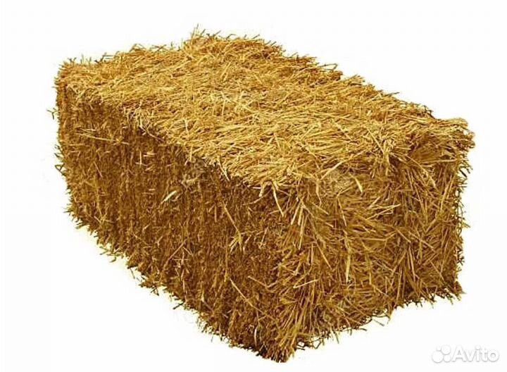 Тюки сена (люцерня)