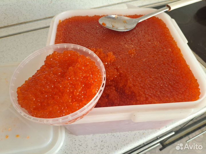 Красная икра горбуши